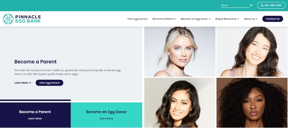 Pinnacle Egg Bank Screenshot